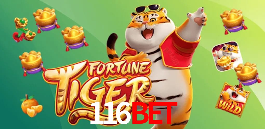 Sports Statistics 116bet